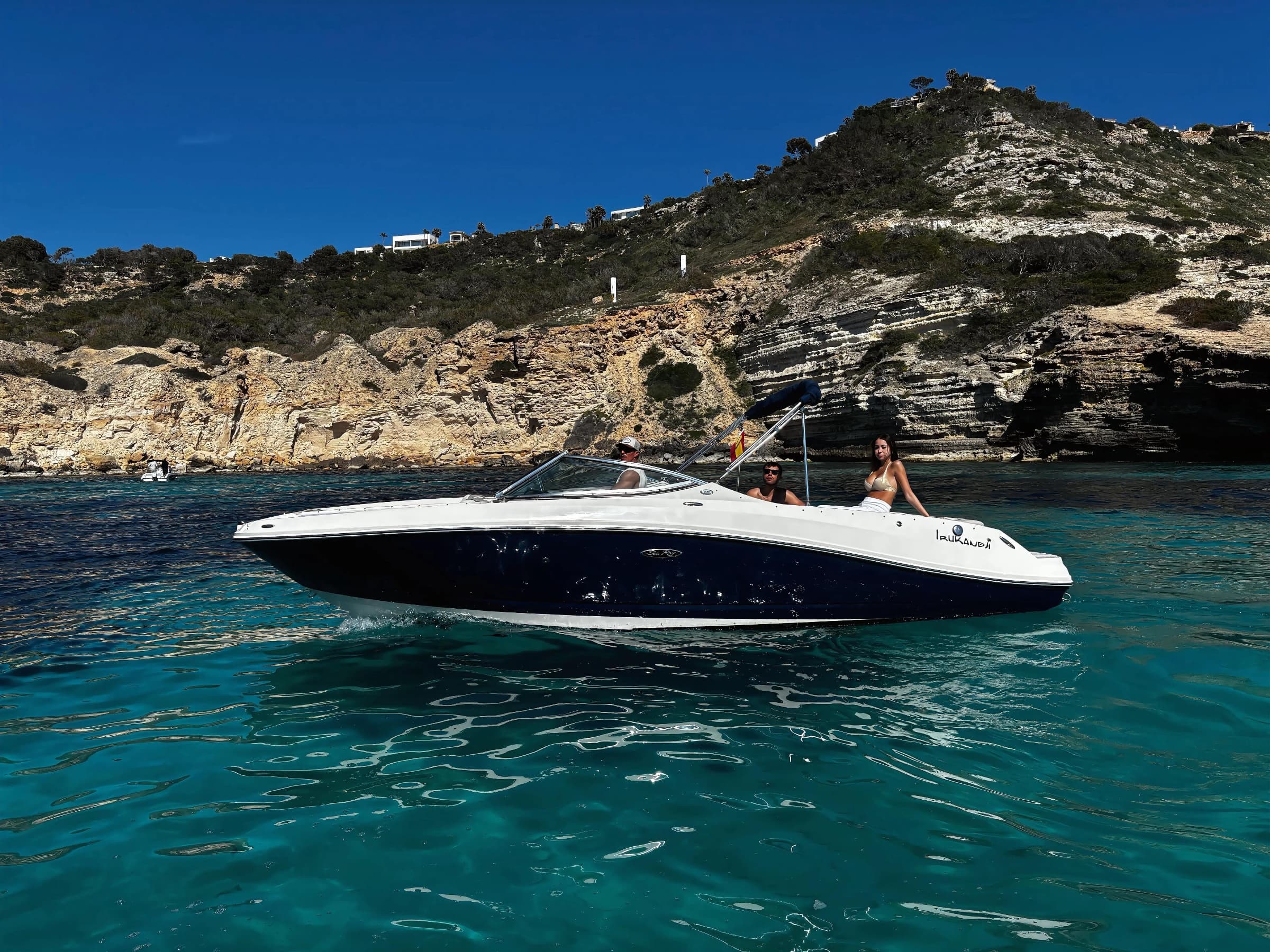 Sea Ray 230