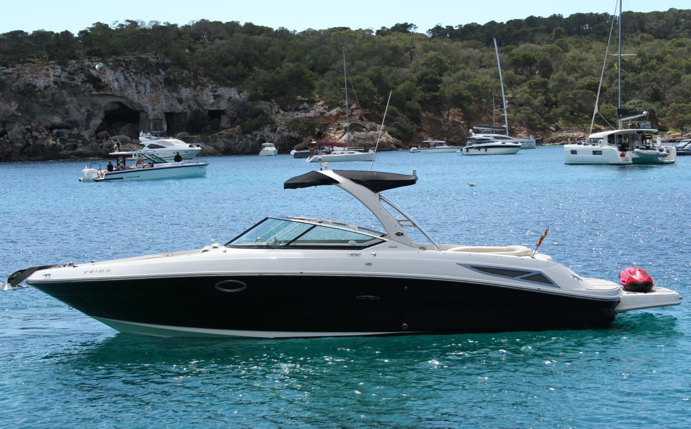SEA RAY 300
