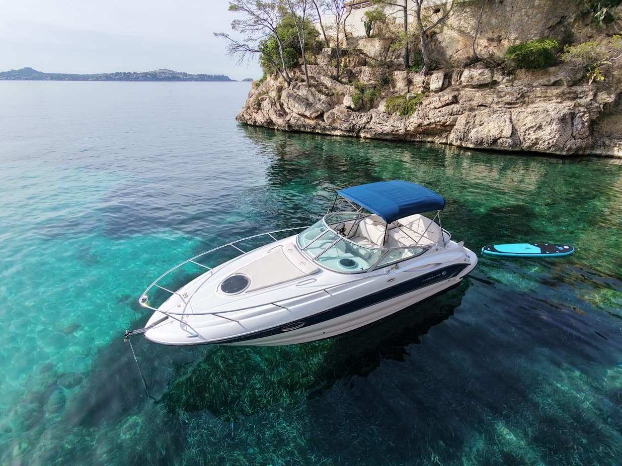 Crownline 25 250CR